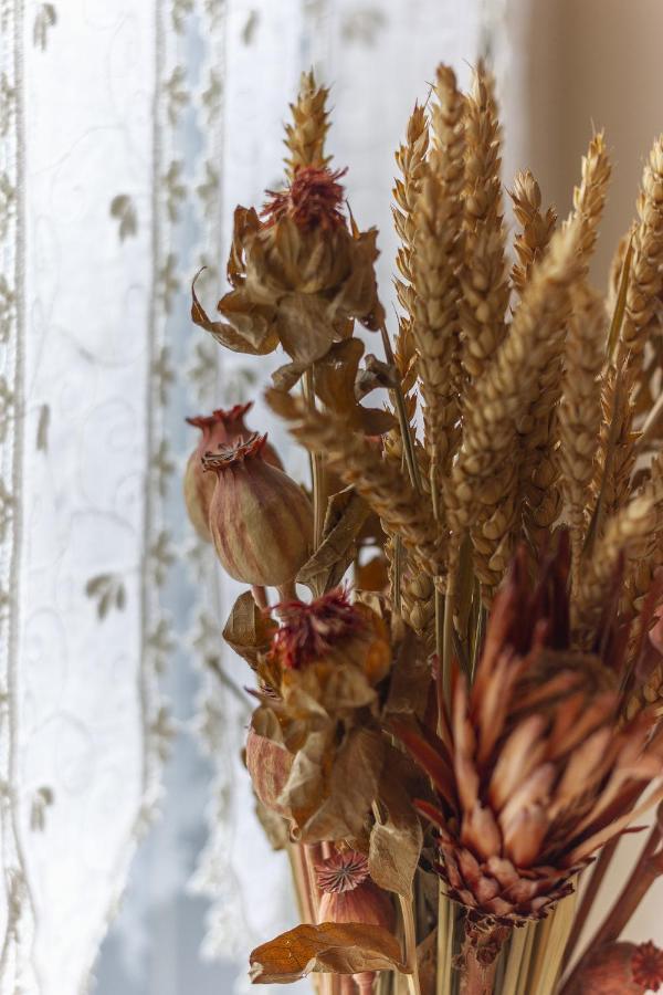 Garden Apartment - Smart Holiday Mantova Esterno foto